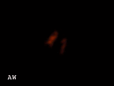 aw_015.gif